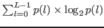$ \sum_{l=0}^{L-1}{p(l) \times \log_2{p(l)}}$