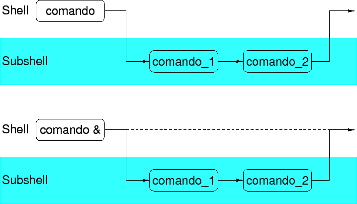 \includegraphics[scale=0.8]{shellfork}