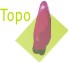 Topo